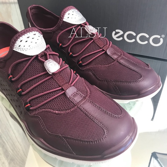 ecco lynx